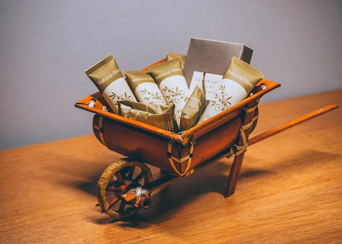 Apollo Art 酒店 基帕里夏